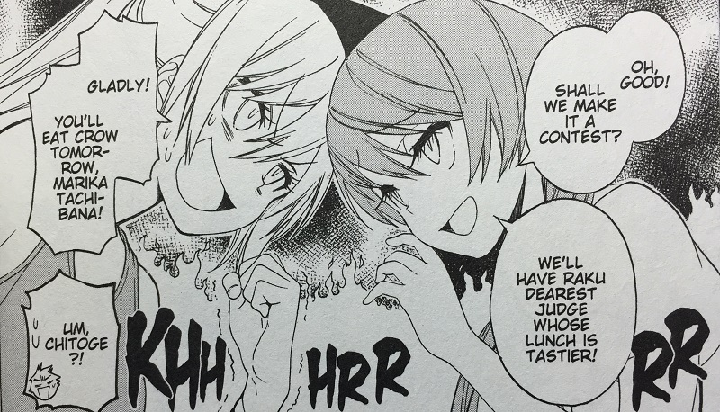Illustration for article titled Nisekoi Vol. 13 - Manga Review